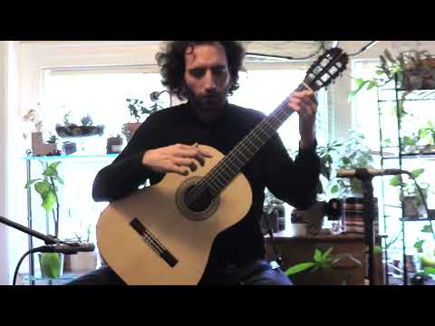 Arabesque en forme de caprice - Francis Kleynjans