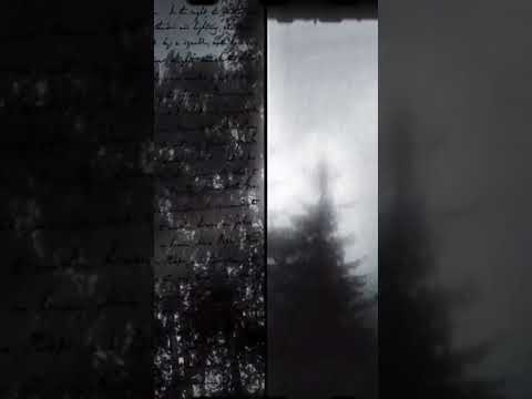 (Official) IHateMeToo - Paper hearts.