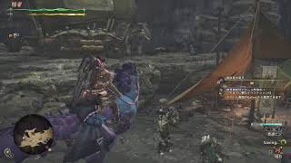 [MHWs]少し狩りします