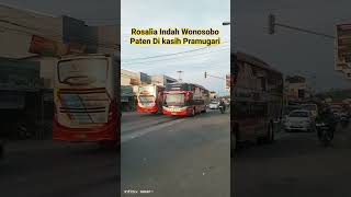 Download lagu Rosalia Indah Wonosobo Paten Di Kasih Pramugari #shorts #busmania #rosaliaindahtransport mp3