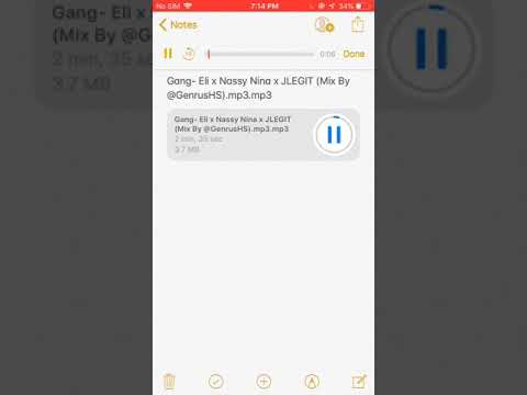 Gang- Eli x Nassy Nina x JLEGIT (Mix By @GenrusHS).mp3.mp3