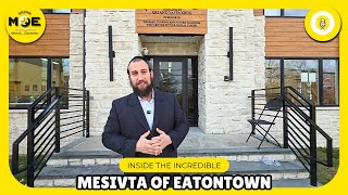 בתוך מסיבטה של איטונטאון: מקום שבו כל בוכור שייך - תוכנית פרלוביץ'