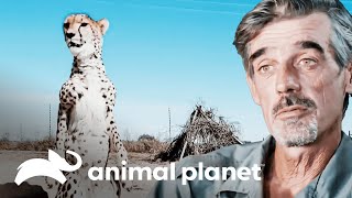 Thumbnail del capítulo