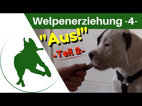 Welpenerziehung Teil 4 - "AUS!" - 2/2