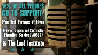 Help Release Susan Werner's New Project HAYSEED!