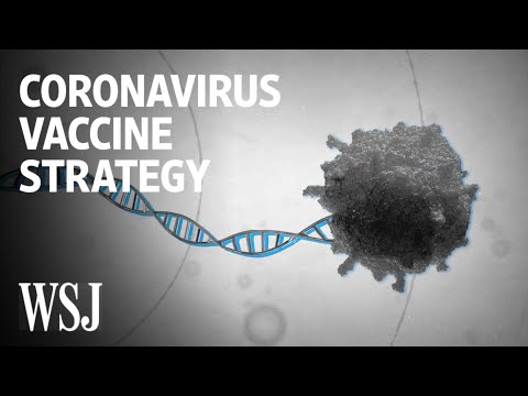 How Scientists Are Trying to Develop a Coronavirus Vaccine| WSJ