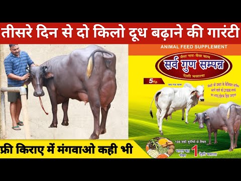 फ्री किराये में मंगवाओ कही भी, सीधा दो किलो दूध बढ़ाने की गारंटी | InderJeet Sirsa (9050940235)