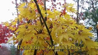 Doris Day - Autumn Leaves