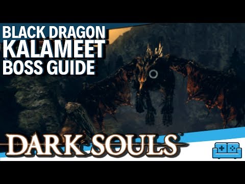DARK SOULS | BLACK DRAGON KALAMEET BOSS GUIDE
