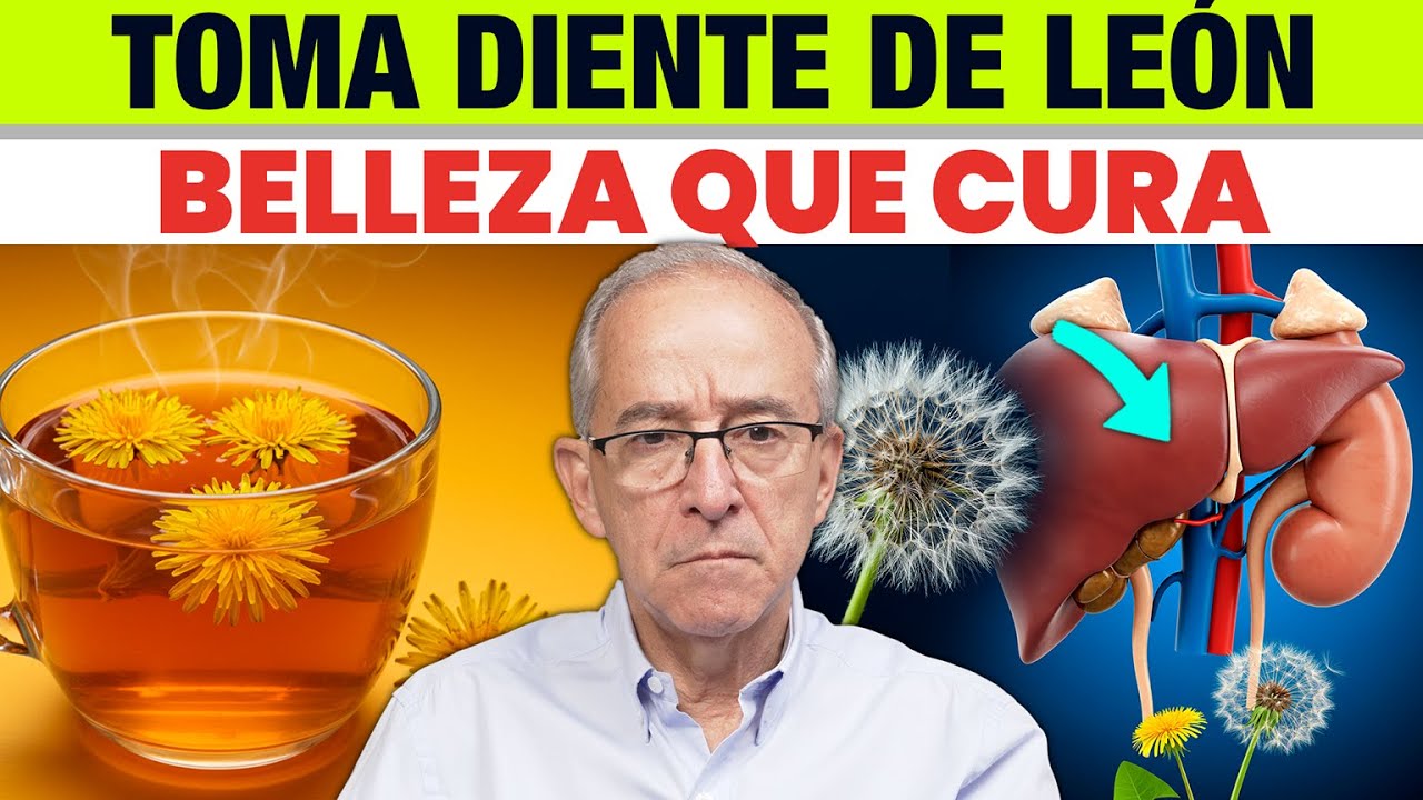 ENFERMEDADES QUE CURA EL DIENTE DE LEON Y SUS BENEFICIOS - Oswaldo Restrepo RSC