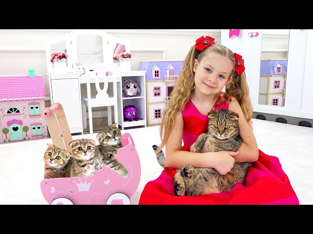 Vídeo relacionado con Tim persigue un gato (Historias Cortas de los Cinco)