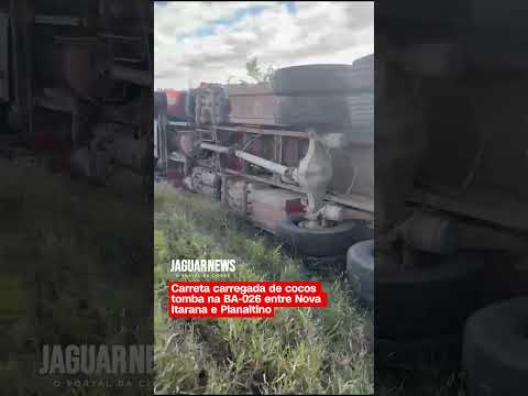 Carreta carregada de cocós tomba na BA-026, entre Nova Itarana e Planaltino