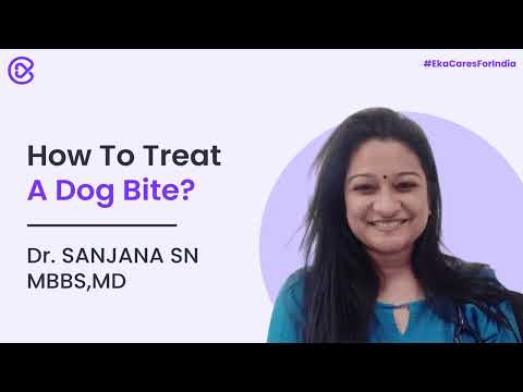 How To Treat A Dog Bite?