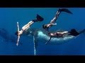 GoPro: Whale Fantasia 