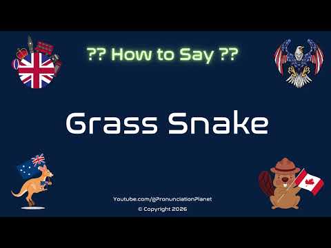 🐍🌿 How to Pronounce Grass Snake? (CORRECTLY) | Pronunciation Planet