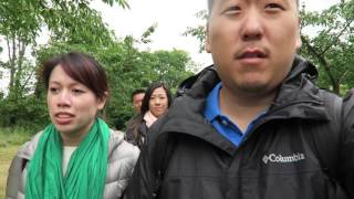 Americans visit Ireland for the first time