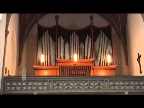 H 175: Zeige uns den Weg