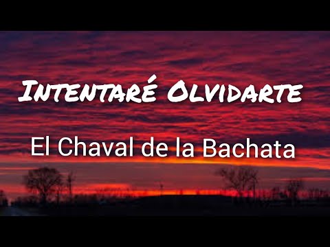 El Chaval de la Bachata - Intentaré Olvidarte (Letras)