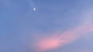 The Walters - Goodbye baby with lyrics