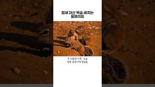 월세 대신 목숨?받치는 룸메이트 정체