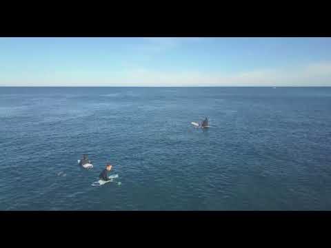 Drone footage of clean waves at Strickland Bay