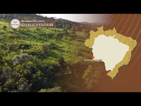 Terralmo 33: Fazenda à venda em Porto Murtinho/MS