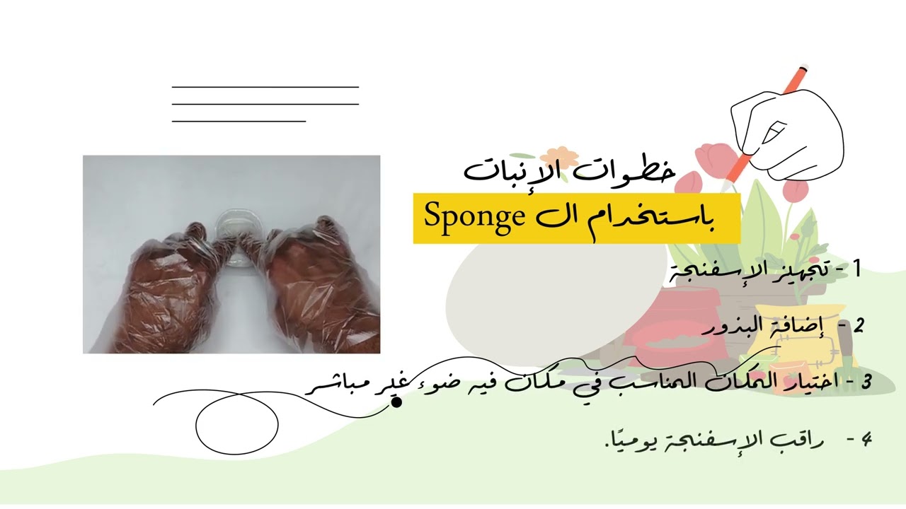 تجربة الكهرباء