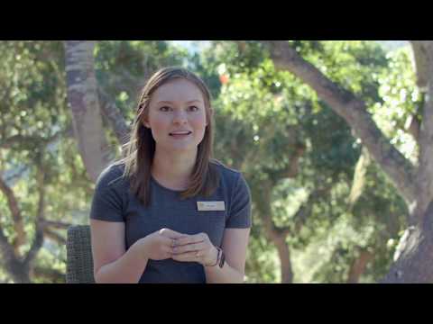 Top hotels and resorts improve guest reviews with Zingle