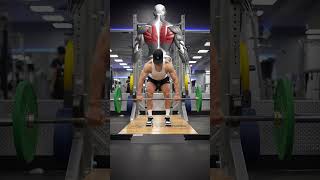 Barbell Row Grip Widths & Muscles Worked