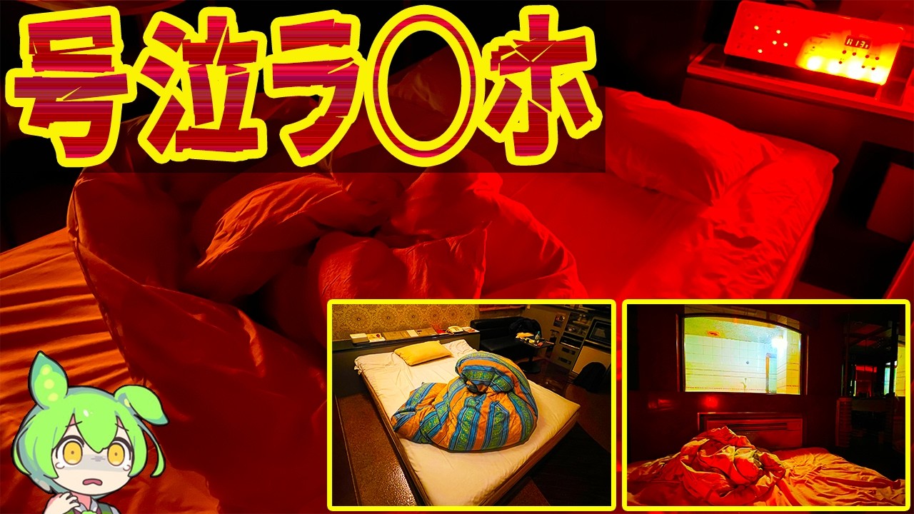 【ひみつ❤️】鶯谷、池袋、新宿のラ⚪︎ホ街で最安ホテルに泊まったら発狂の連続でした…【総集編】【ずんだもん＆春日部つむぎ解説】