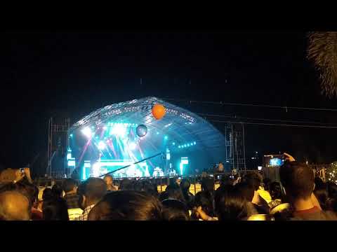 The pink panther in violin