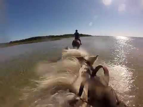 Full Gallop at Beach @ Hiiumaa island Estonia (GoPro Hero3)