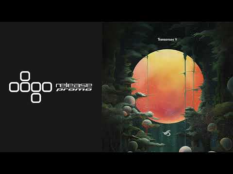 PREMIERE: Matt Oliver - Leaky Cauldron [Transensations]