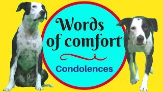 Download lagu Words of sympathy and comfort - expressing condolences in English mp3