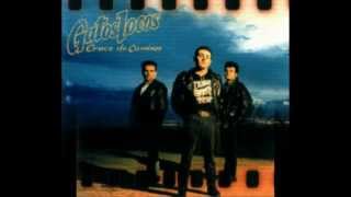 no veras-gatos locos