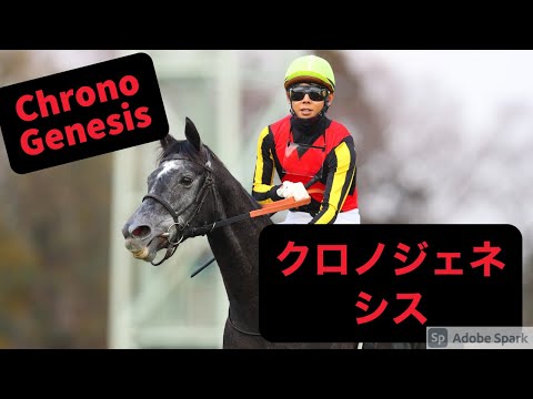 クロノジェネシス “Chrono Genesis”~ Maneater (horse racing edit)
