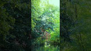 Download lagu Colmar Little Venice mp3 Download lagu Colmar Little Venice mp3