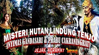 Download lagu THE MYSTERY OF TENJO PROTECTED FOREST IN MINDI LEUWIMUNDING VILLAGE | SACRED TRAIL mp3
