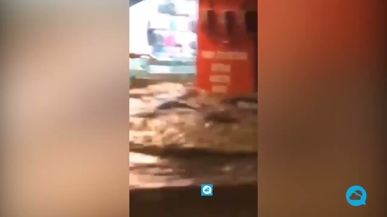 youtube video id=7T17UsAWo6c