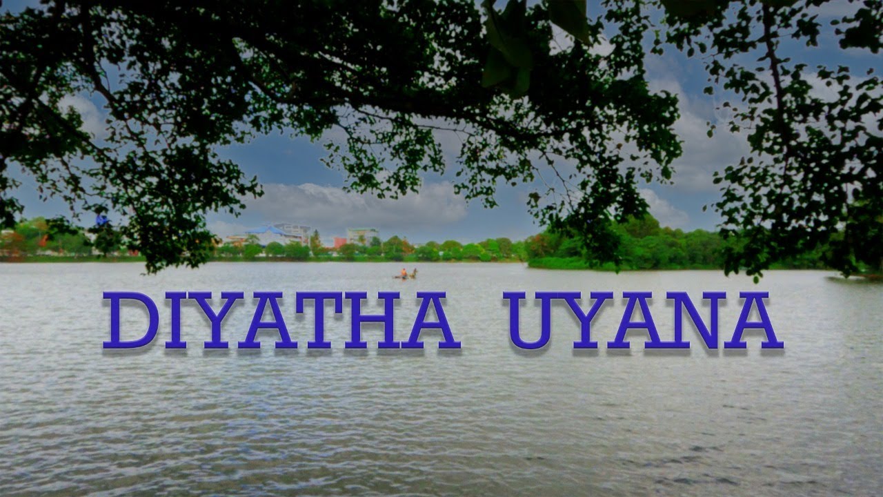 Experience a virtual stroll through Diyatha Uyana Park.
