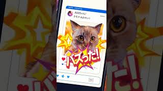 Buzzlo今すぐ無料で体験!