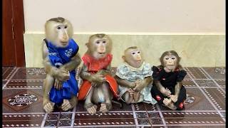 Download lagu 4 Siblings Sit Very Mannerly Waiting Mom To Prepare & Bring Them Dinner Treat To Eat , mp3