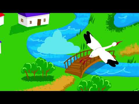 BOCIAN WĘDROWNIK - Wyk. Julka