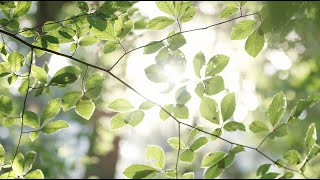 Video med Riese & Müller