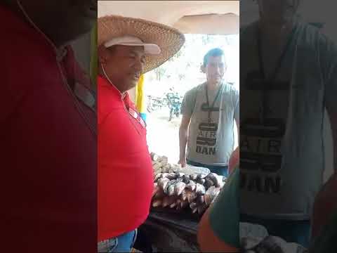 Feria del Campo Soberano a cielo abierto en La Ceiba de Barinas
