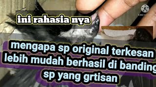 Download lagu rahasia suara panggil original cepat menginapkan burung walet mp3
