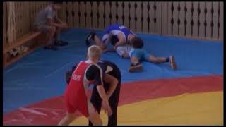 Новости с ковра