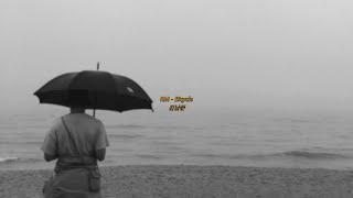 Download lagu [1 HOUR LOOP] BTS RM (김남준) - Bicycle mp3