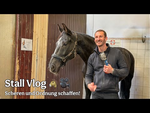 Things are getting serious ✂️😬🐴