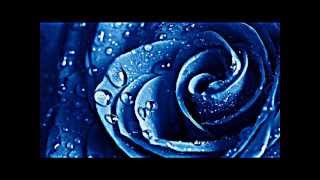 Bernhard Brink - Vergiss mein Herz nicht, wenn du gehst